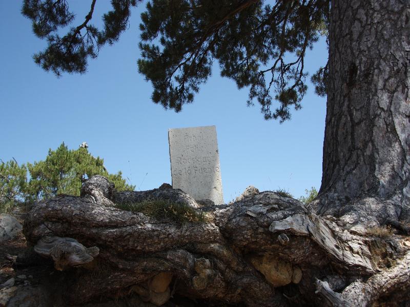 Hotel Rural Montana De Cazorla 아로요프리오 외부 사진