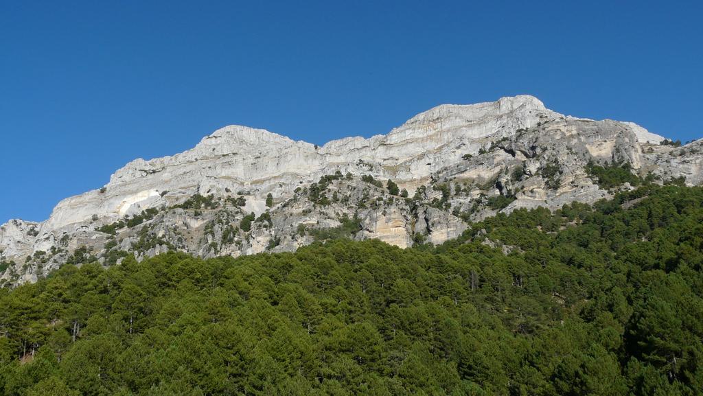 Hotel Rural Montana De Cazorla 아로요프리오 외부 사진